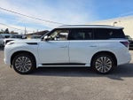 2026 INFINITI QX80 Luxe 2WD