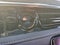 2026 INFINITI QX80 Sport 4WD